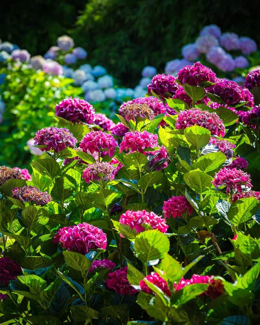 Sala da pranzo storica della Villa con arredi d’epoca